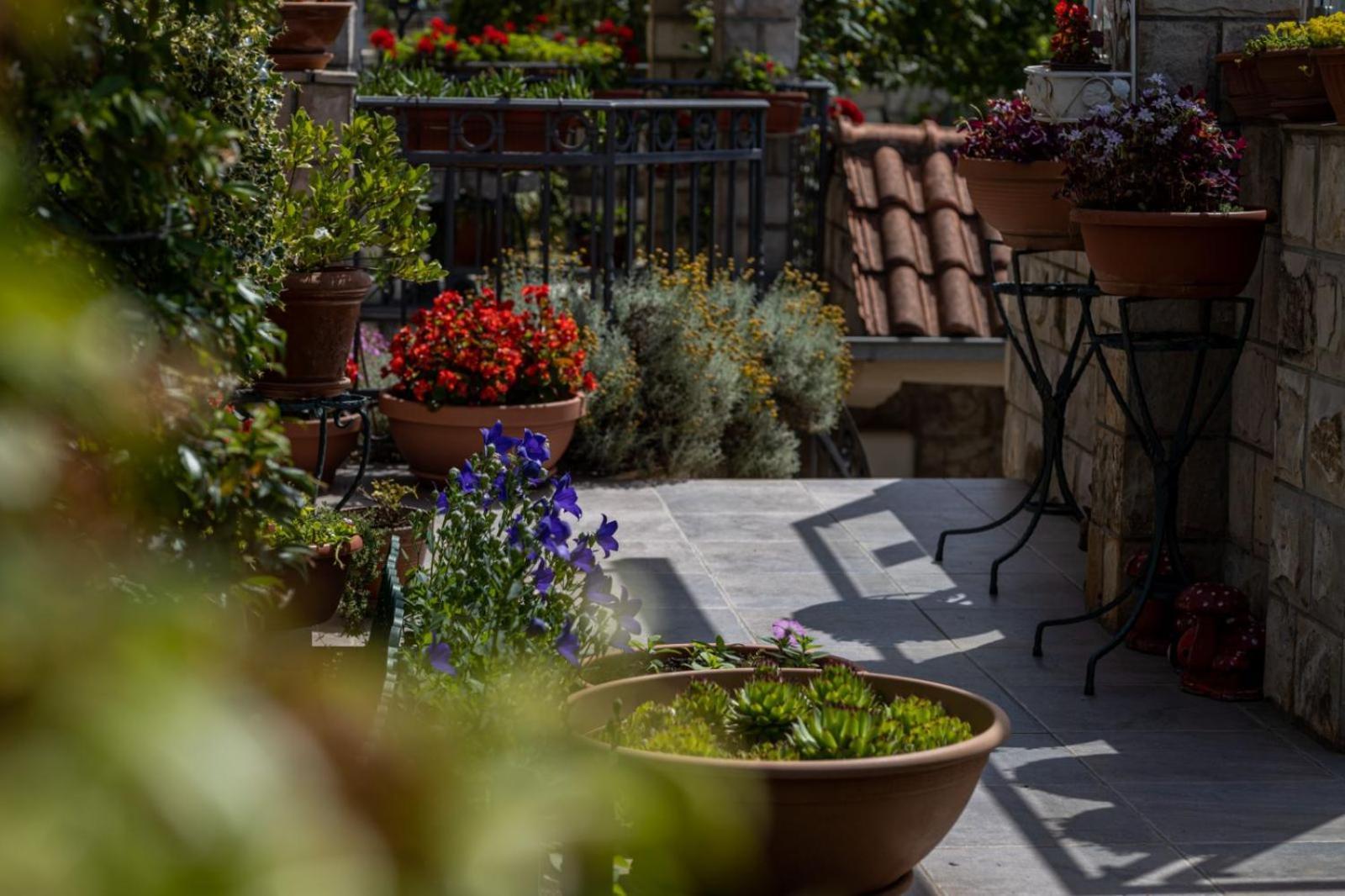 Apartments Horizont Budva Exterior foto